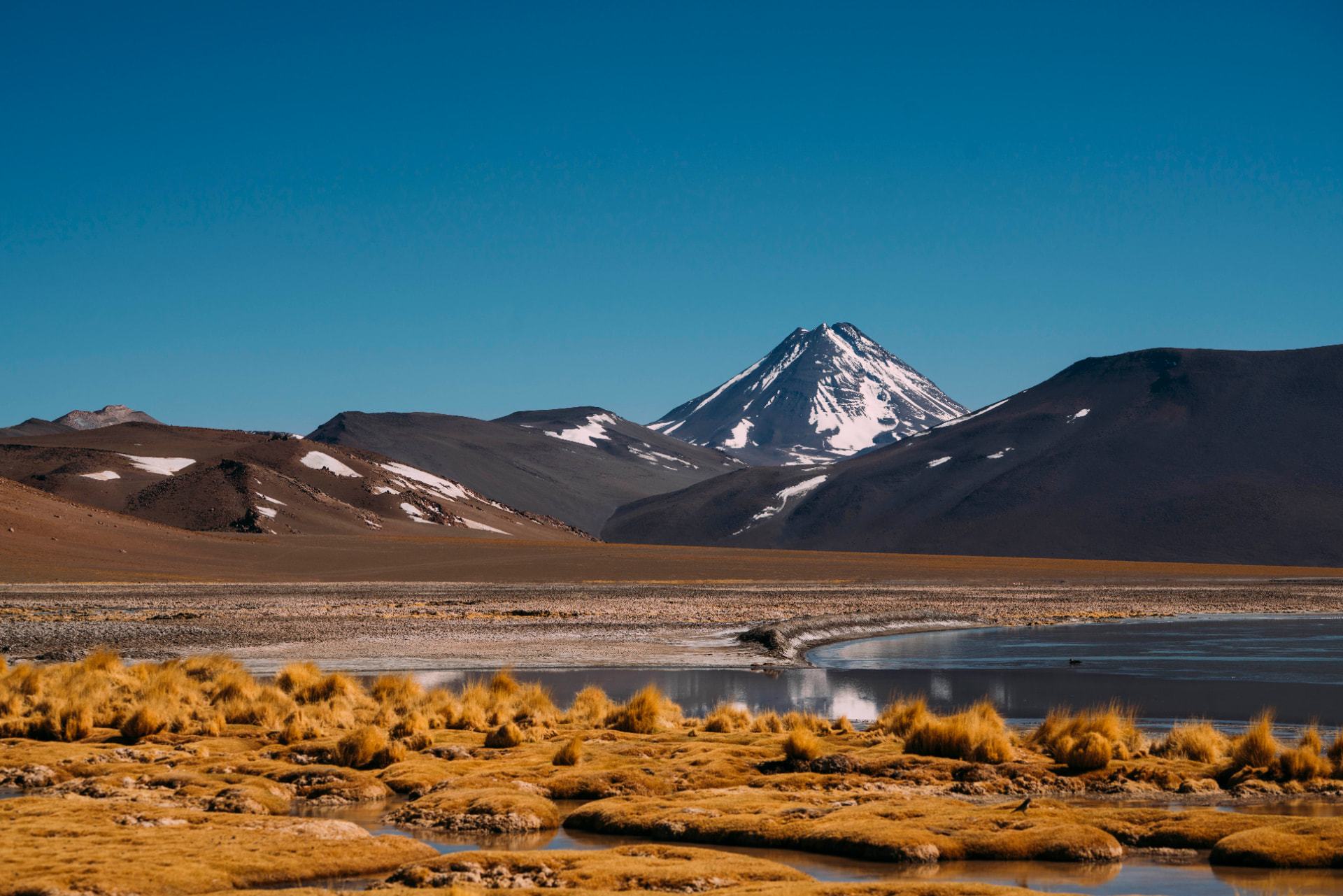 Vulcão nevado refletido em lagoa cercada de coirões dourados