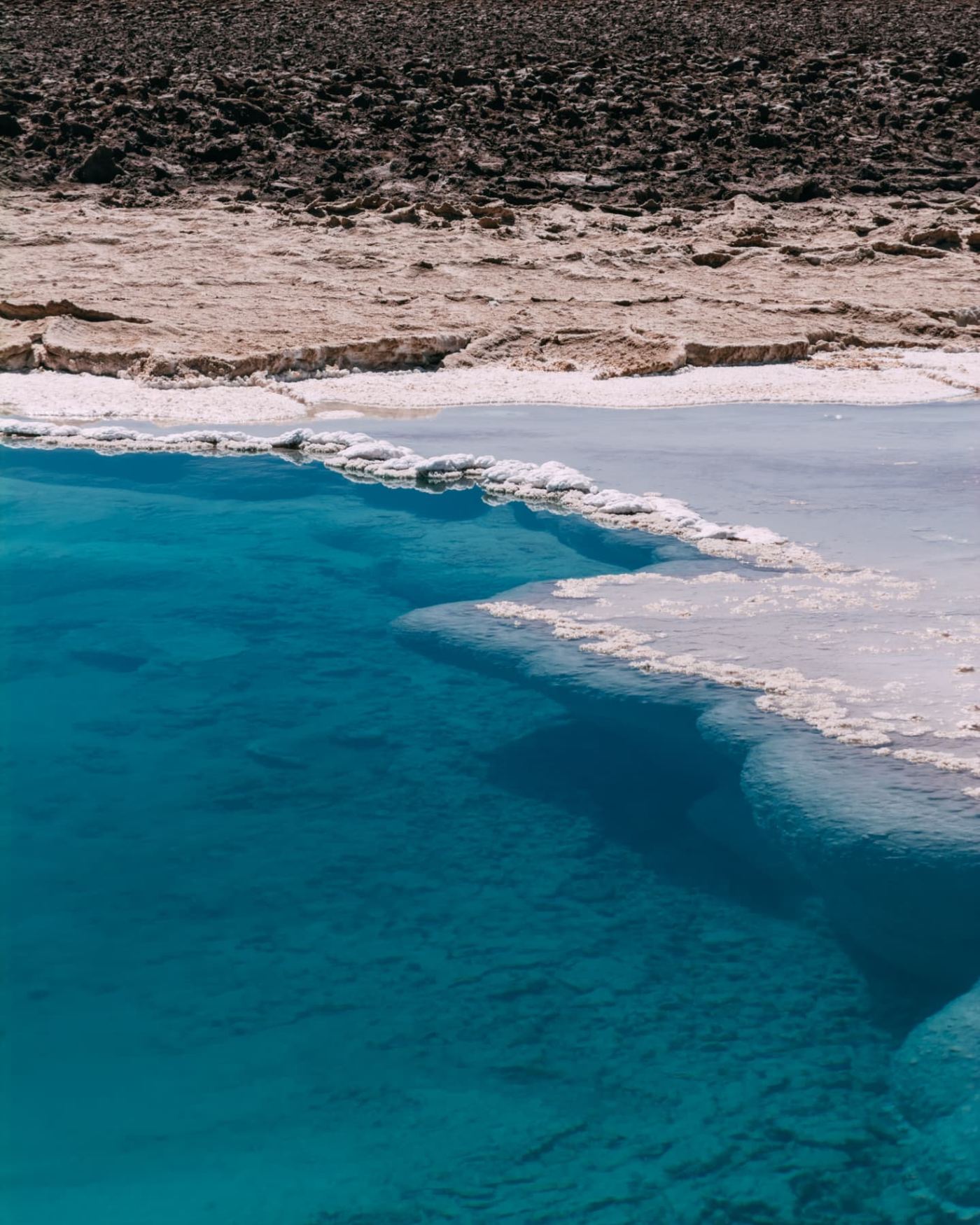 Bordas de sal e água turquesa de uma laguna do altiplano